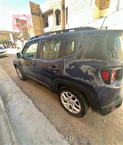 جيب رينيجيد